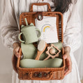 Baby Feeding Tableware Box Set Gifts Baby Silicone Rainbow Stacker Toy Set Baby Birth Vintage Box photography Commemorate Gifts